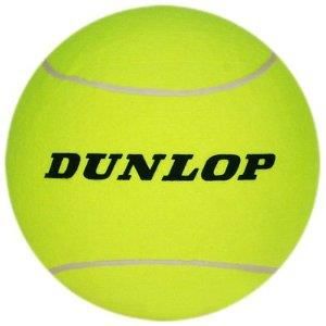 Balle de padel Dunlop Eco Padel EU - Dunlop - Balles - Padel