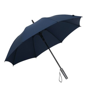 Parapluie automatique tempête