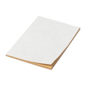 Maiwen Seed paper notebook