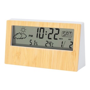 Roamer bamboo weather station