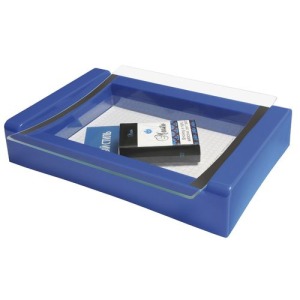 Laguna 1 expo coin collector