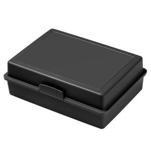 Picnic storage box