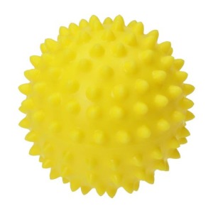 Hedgehog massage ball