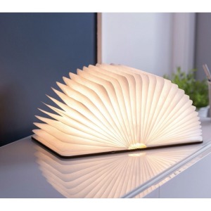 Book led lamp
