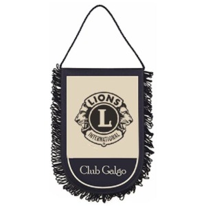 HIGH-DEFINITION PENNANT WITH FRINGE