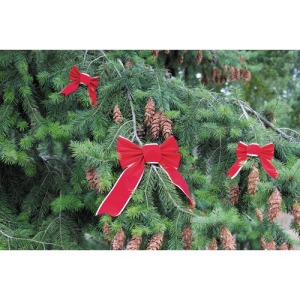 RED AND GOLD VELVET BOW SIZE S