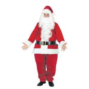 WIG AND LONG WHITE BEARD