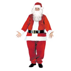 WIG AND WHITE BEARD CURLS