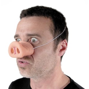 PIG NOSE