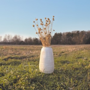 BUNCH OF DRY THISTLES