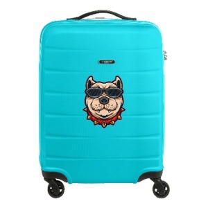 Princess Traveler Grenada cabin size trolley, matt finish