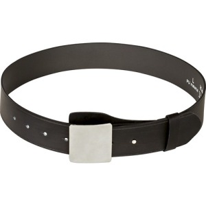 Ceinture agent de sécurité GORDON