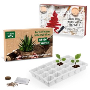 Advent calendar to plant