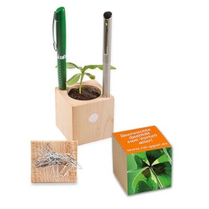 Wooden Cube Pot - Four Leaf Clover Bulbs