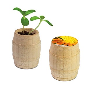 Mini wooden barrel - Souci