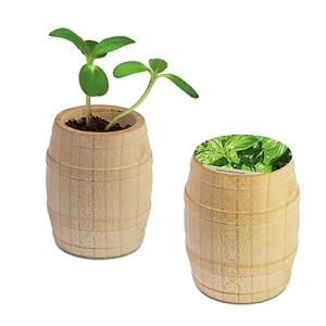 Mini wooden barrel - Basilic