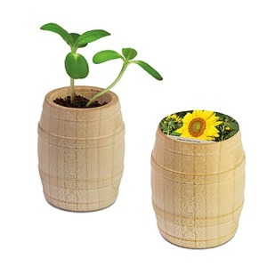 Mini wooden barrel - Tournesol