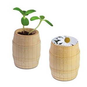 Mini wooden barrel - Marguerite