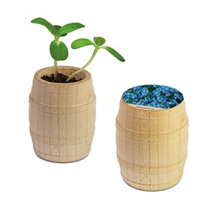 Mini wooden barrel - Myosotis