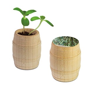 Mini wooden barrel - Thym