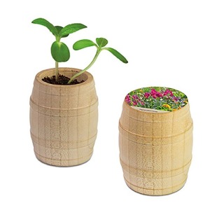 Wooden mini barrel - Mixed summer flowers