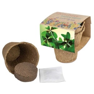 Kit de culture - Bulbes de trèfle à 4 feuilles