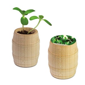 Mini wooden barrel - Bulbes de trèfle à 4 feuilles