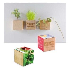 Pot cube bois mini avec aimant - Bulbes de trèfle à 4 feuilles