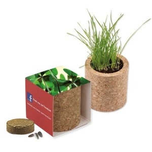 Pot rond en liège - Bulbes de trèfle à 4 feuilles