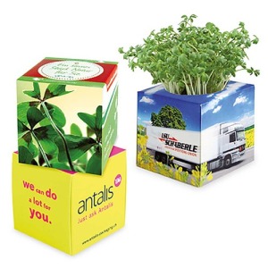 Cube à planter 2.0 - Bulbes de trèfle à 4 feuilles 