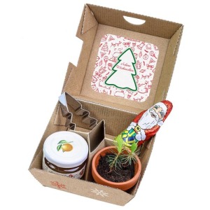 Standard Christmas gift box