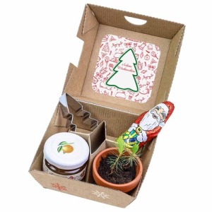Standard Christmas gift box