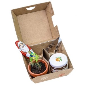 Christmas gift box - Clay pots, chocolate Father Christmas, Christmas tree moulds and a glass of orange jam