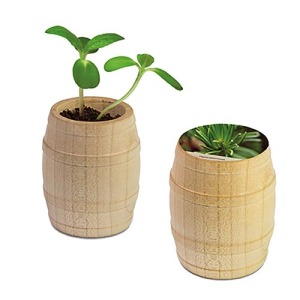 Mini Christmas wooden barrel - Epicéa