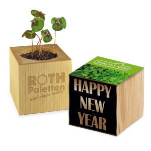 Pot cube bois Mini - Trèfle à 4 feuilles - sans gravure laser