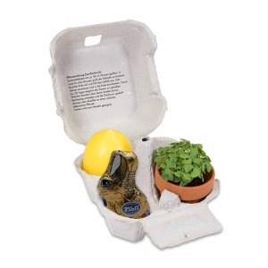 Pleasure in a box - with planting set, mini terracotta pot, egg candle, chocolate bunny