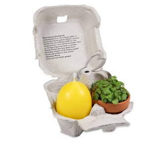 Pleasure in a box - with mini terracotta pot planting set, egg candle, rabbit cake tin?