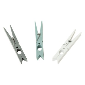 pince linge x24 sinai, couleurs assorties