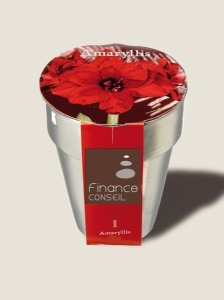 Christmas bulbs in silver pot