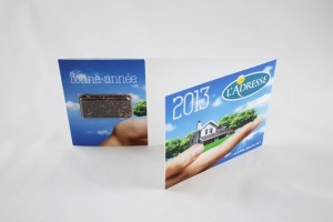 Long visio-grain card