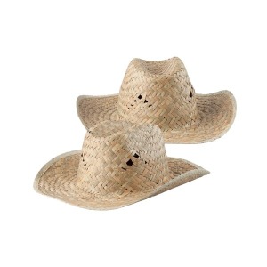 Bull straw hat