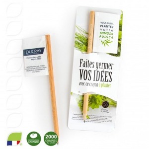 Wooden pencil with flag seed bag