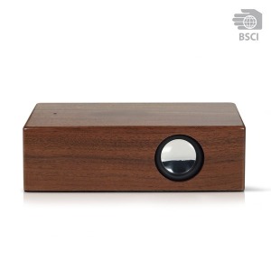 WIRE interactive loudspeaker
