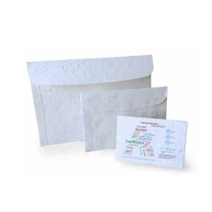 paper envelope seeds large