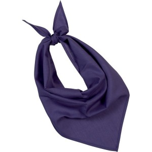 Fiesta - bandana 