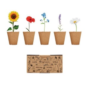Flower growing kit