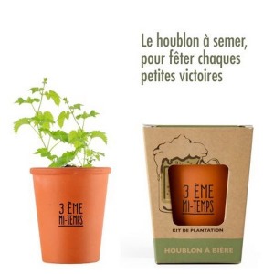 Kit "3rd half-time" hop seeds to sow