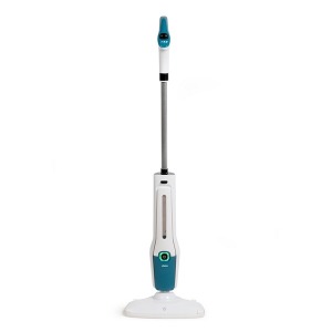 Steam cleaner