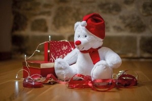 Zipped plush Christmas bear