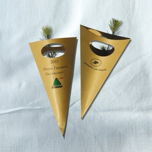 Tree plant in kraft cone - Prestige